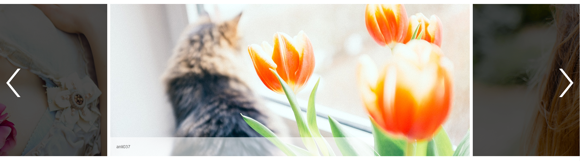 左右视窗幻灯片