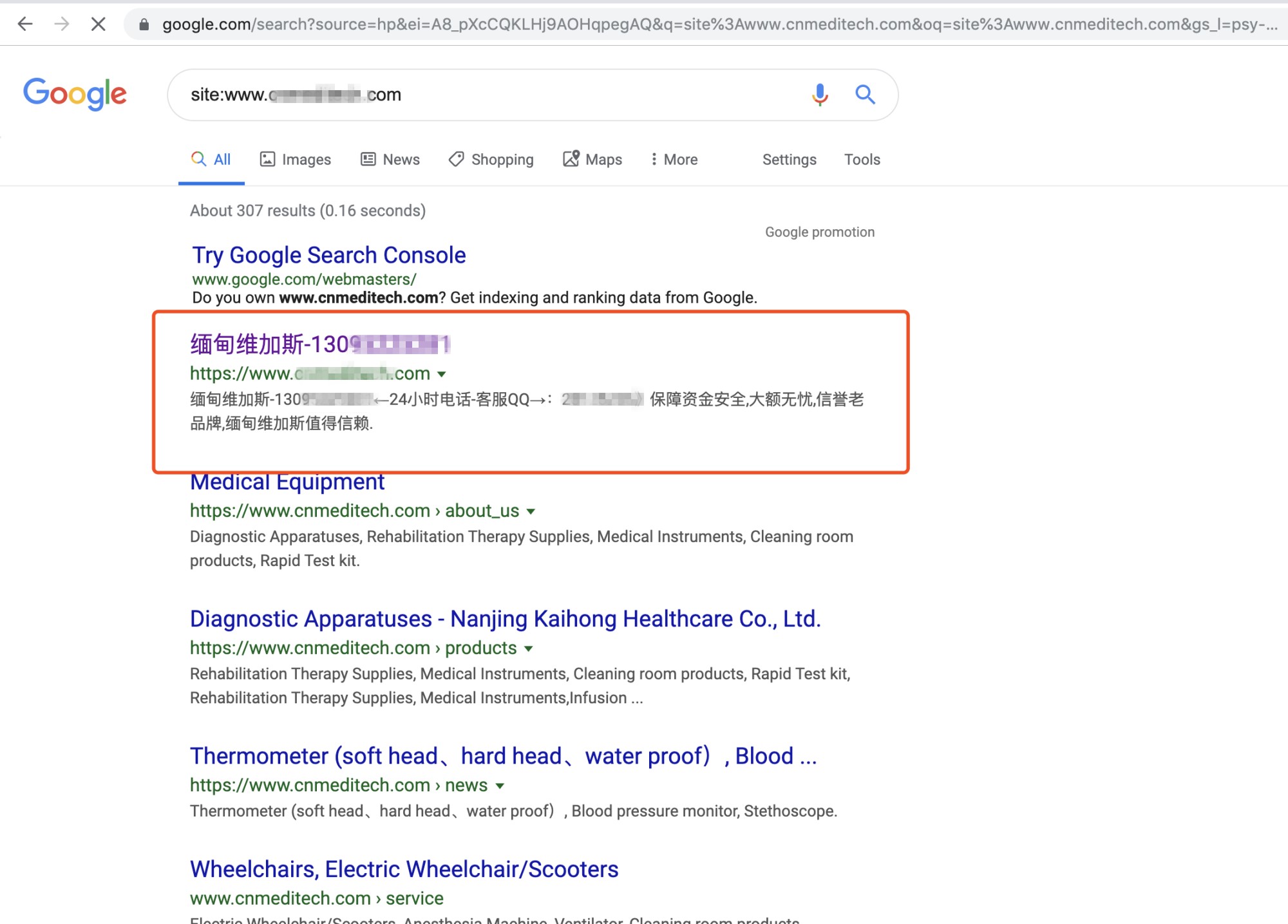 焦点领动外贸建站