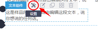 进入文本设置项.png 进入文本设置项.png