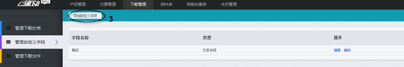 单击添加自定义字段按钮