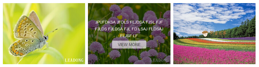 图片集蒙层风格新增按钮设置项