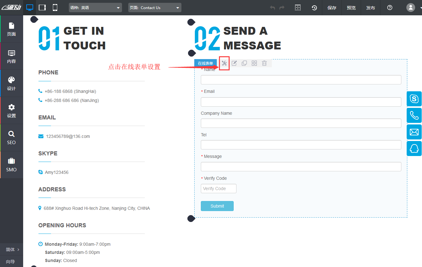 在线表单设置项