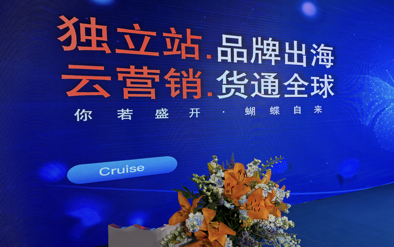 跨境电商网站营销