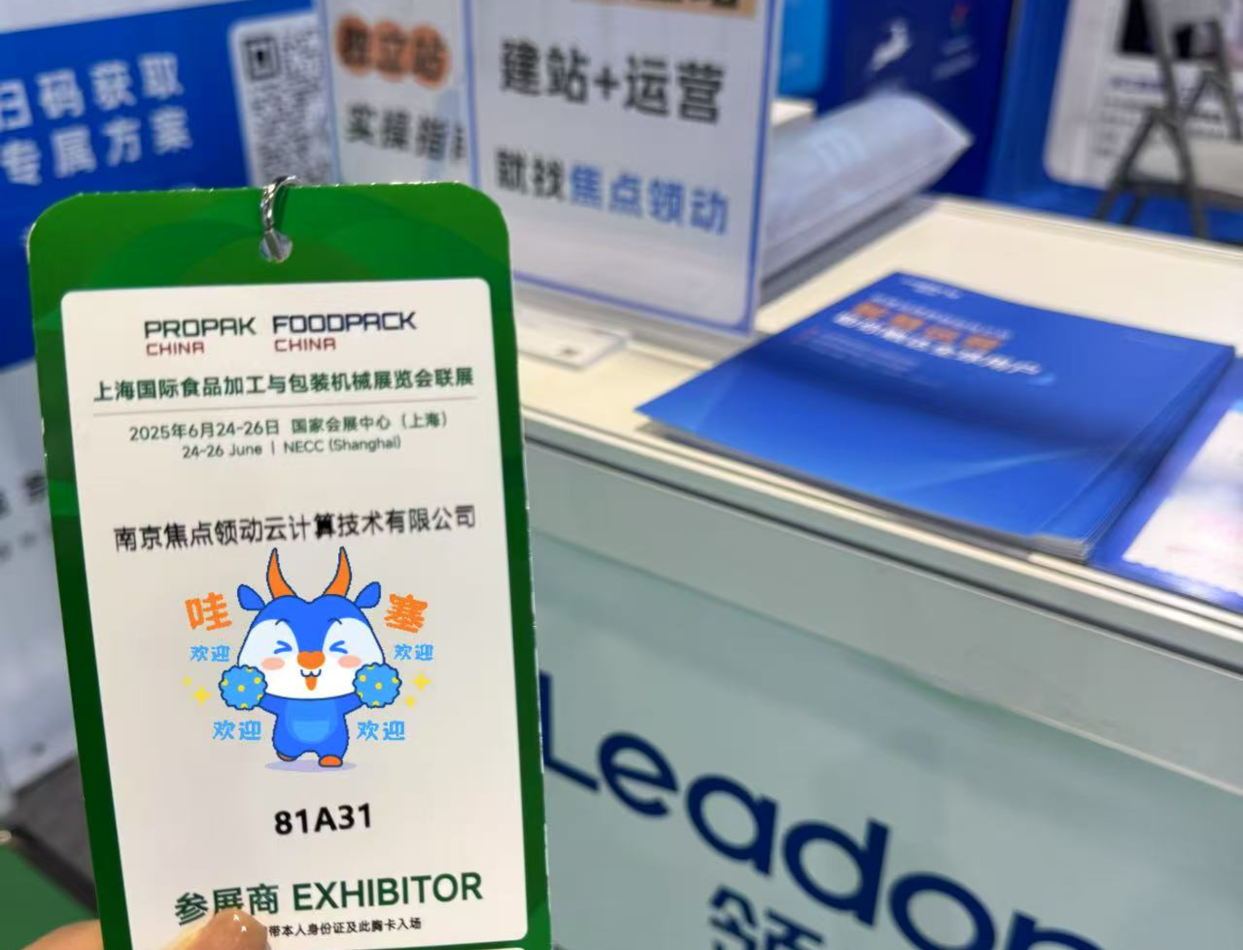 独立站建站费用