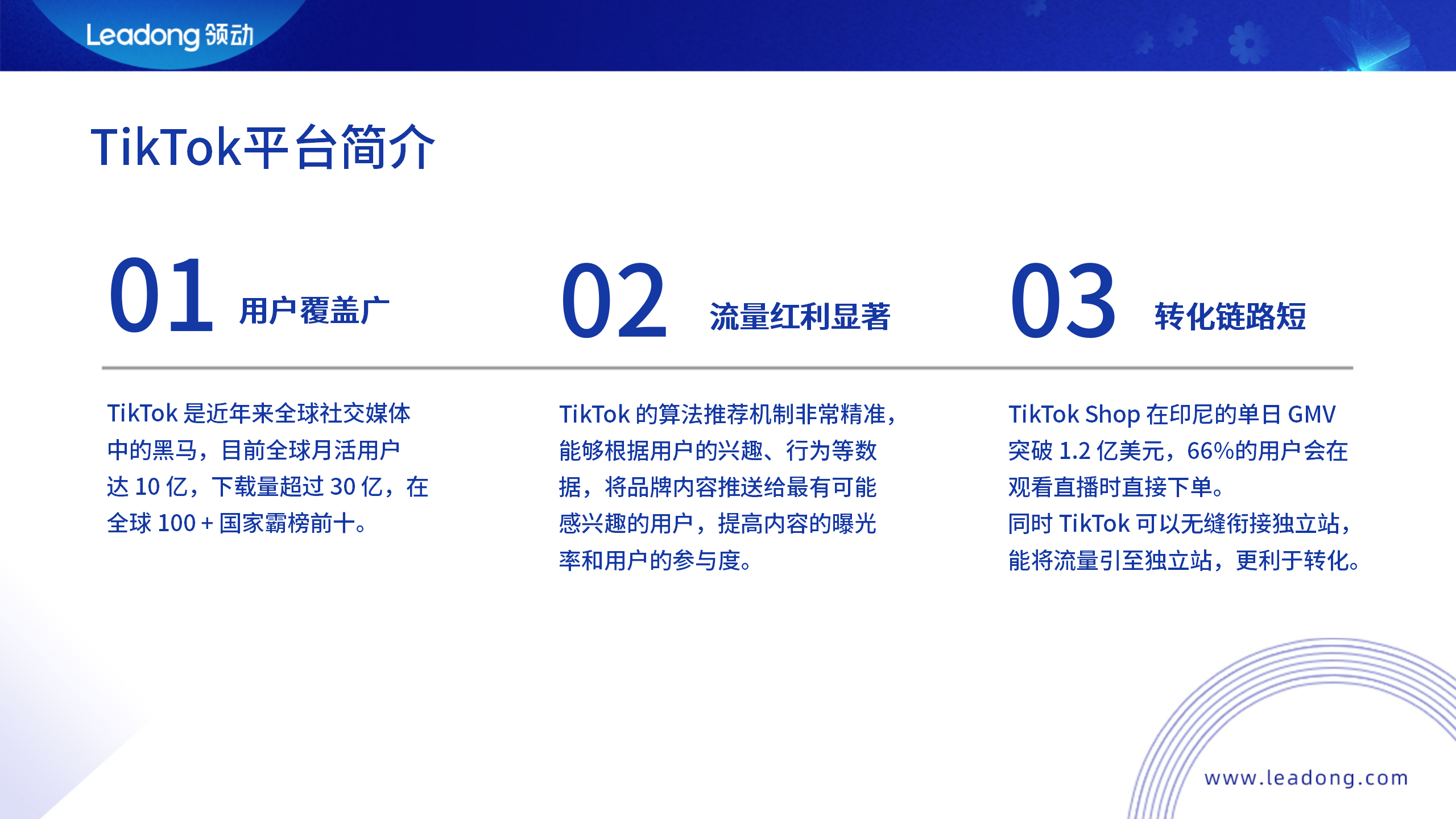 TikTok平台简介