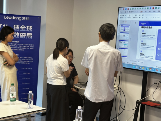 焦点领动谷歌SEO