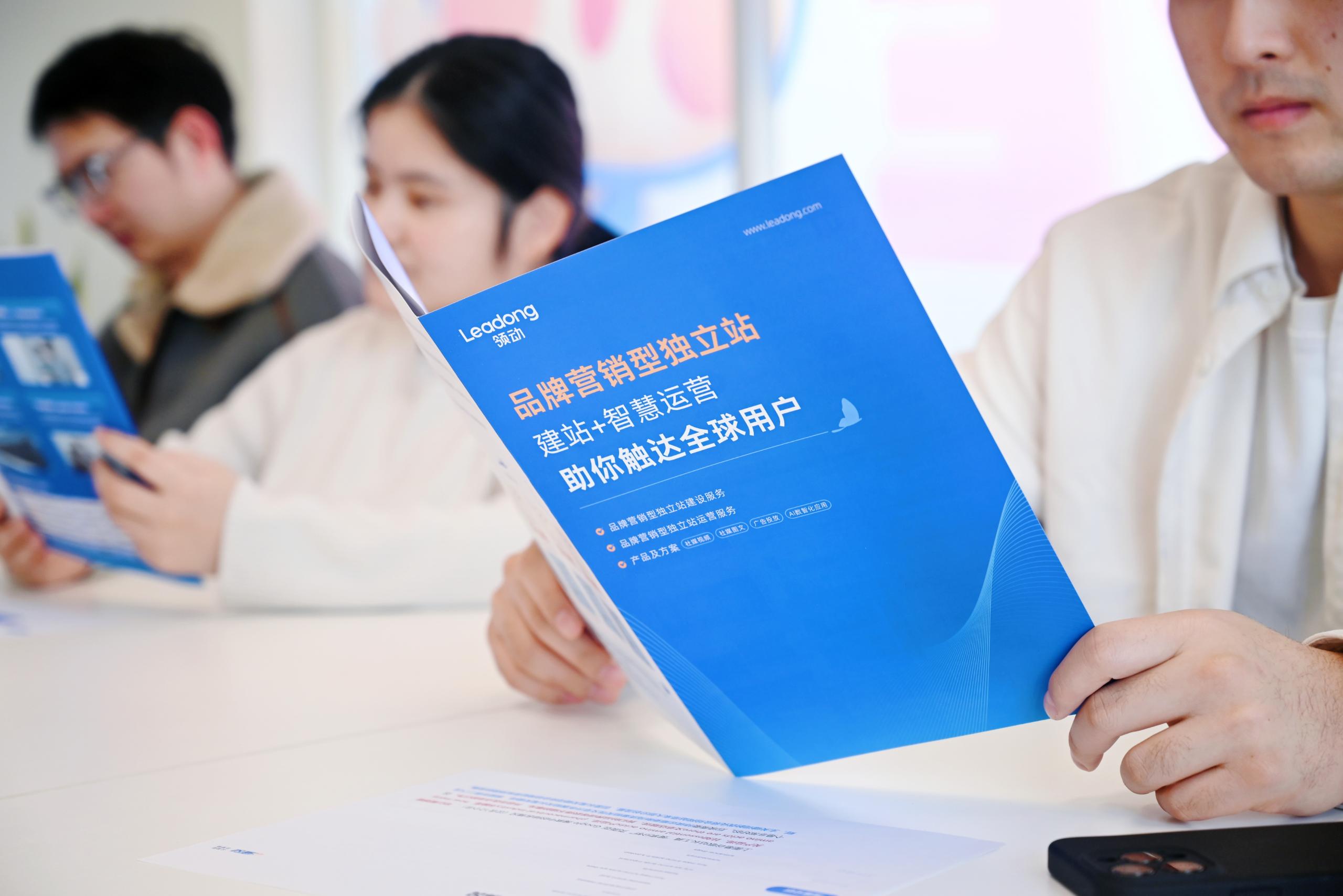 焦点领动品牌营销型独立站